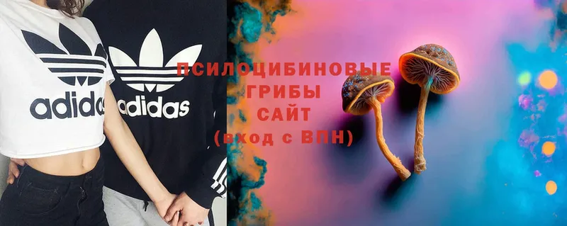 Псилоцибиновые грибы Magic Shrooms  где найти наркотики  Балаково 